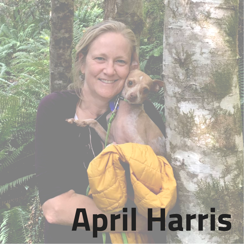  Idealist Consulting Consultant April Harris