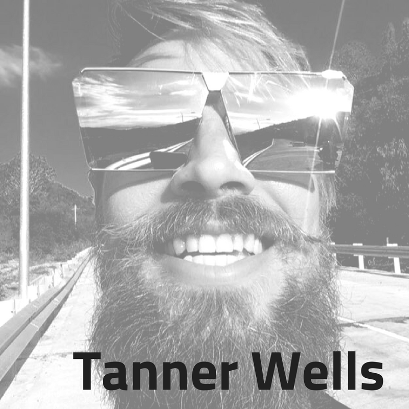 Idealist Consulting Consultant Tanner Wells
