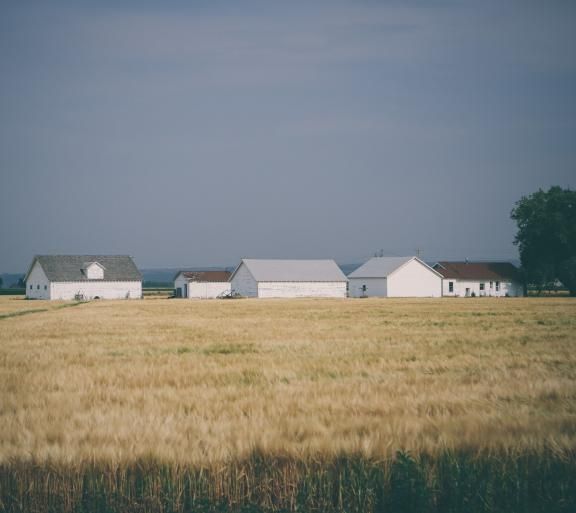 field with white houses