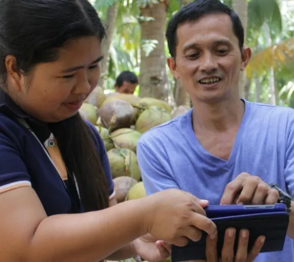 people looking at fruit