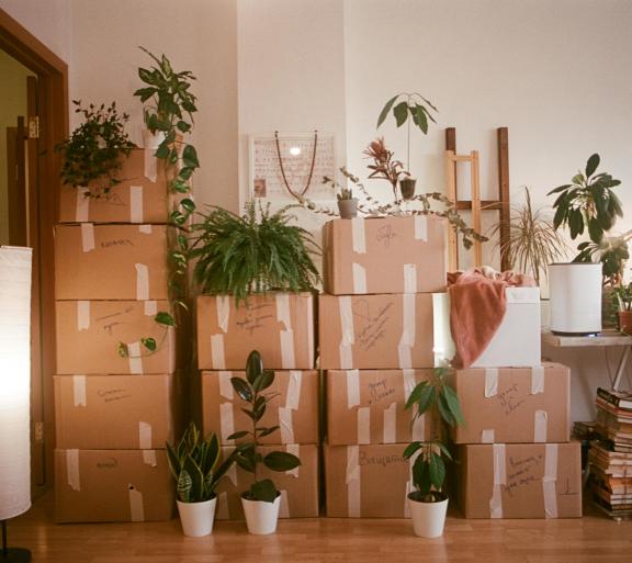 moving boxes