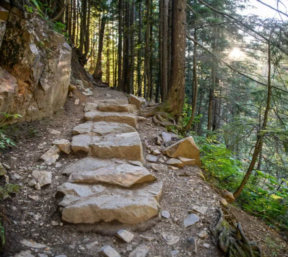 hiking trail