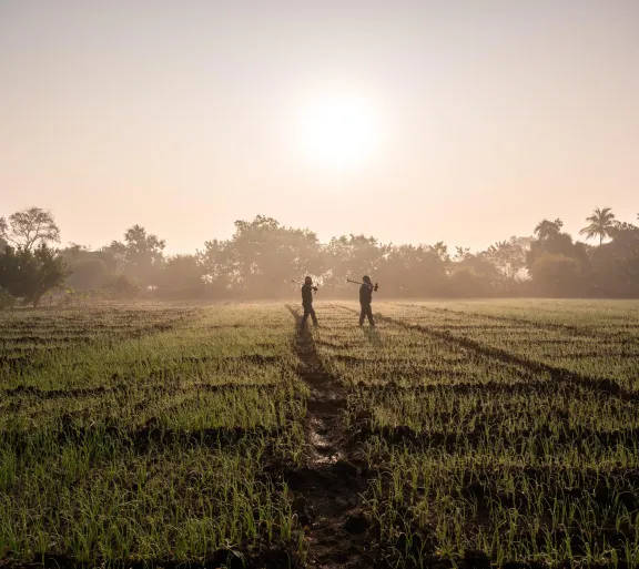 people walking in rural field