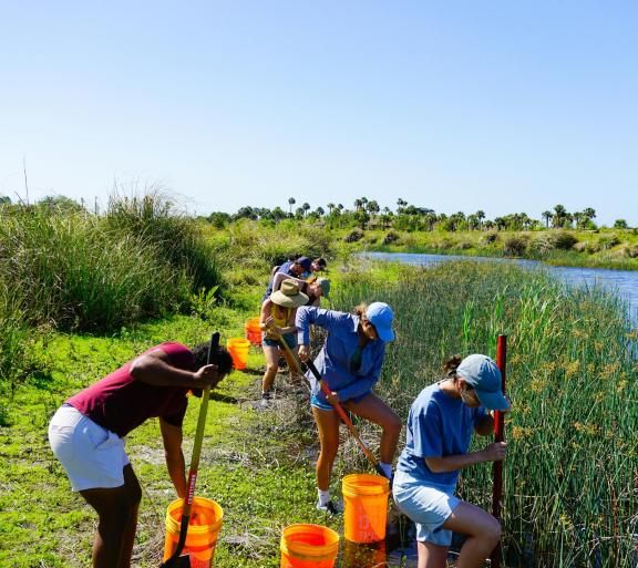 people volunteering in swamp