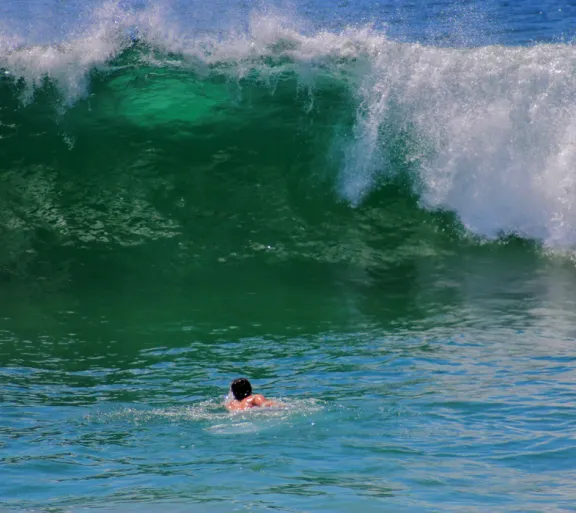 wave