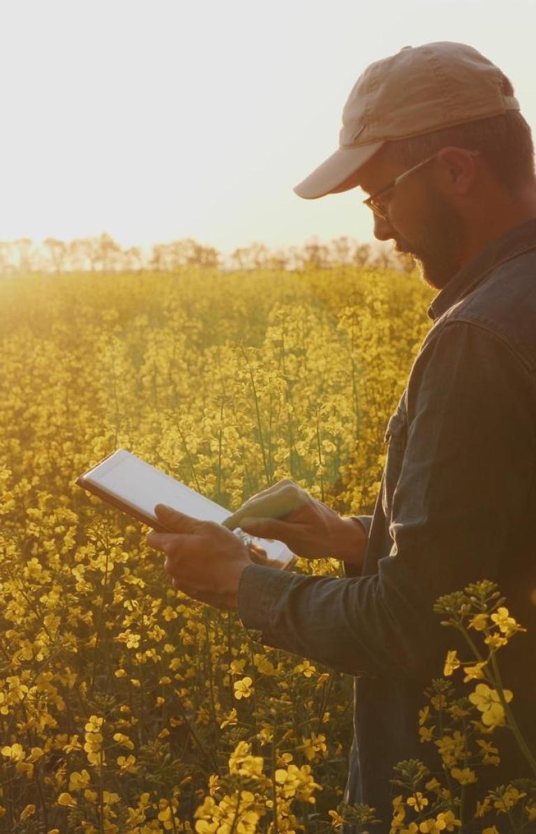 farmer in field