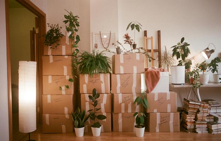 moving boxes