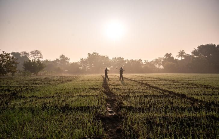 people walking in rural field