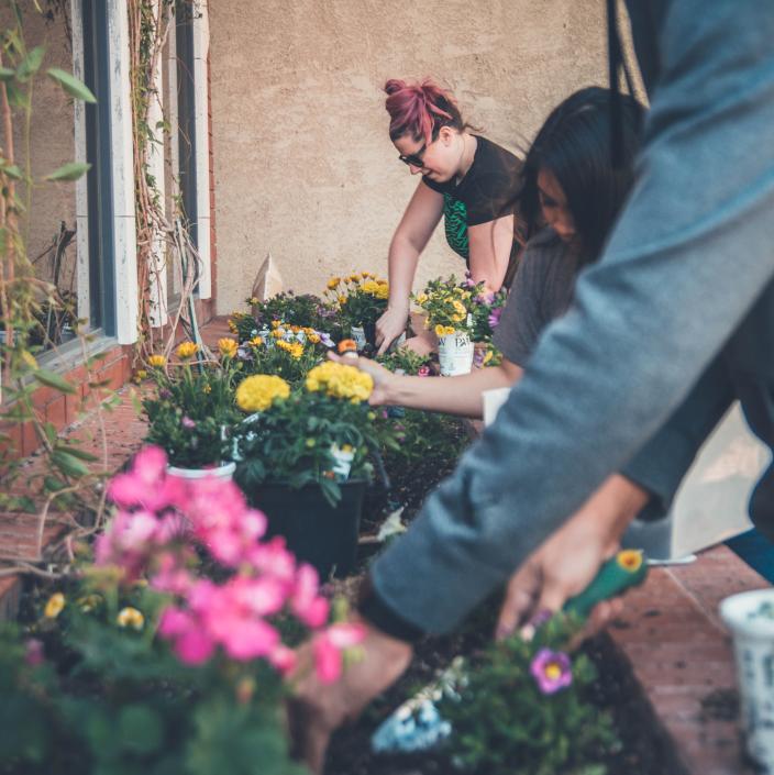 people gardening