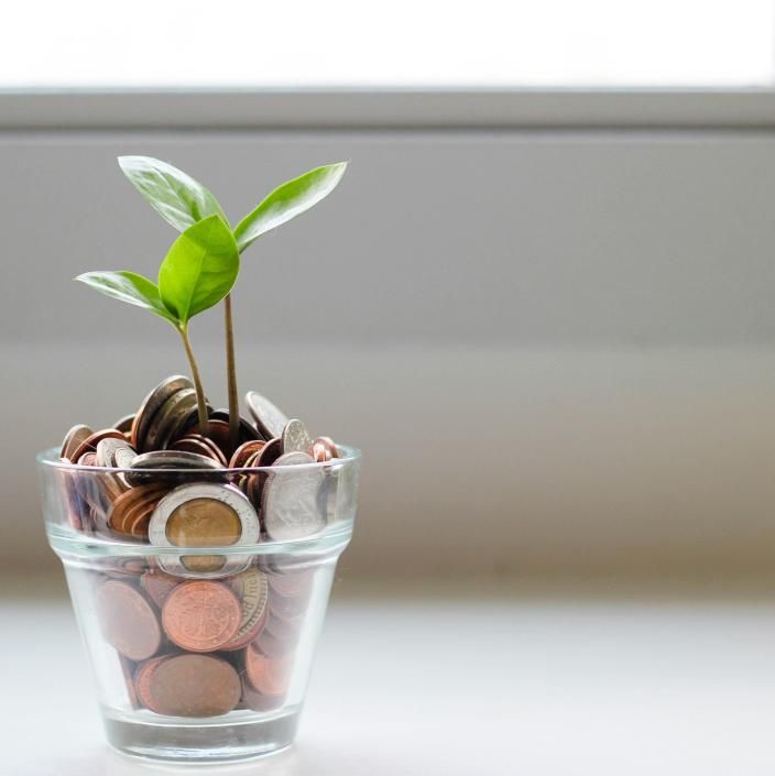 leaf in money pot