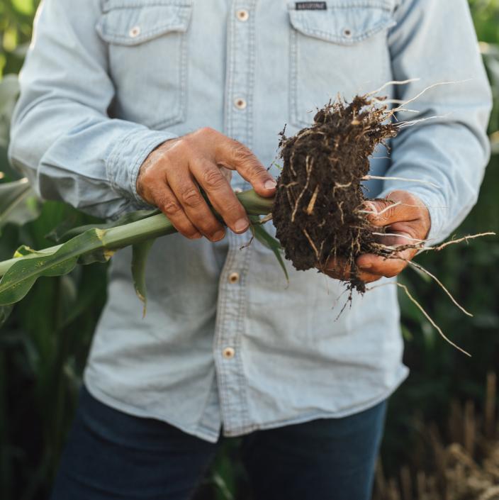 man holding roots