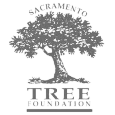 sacramento tree foundation logo