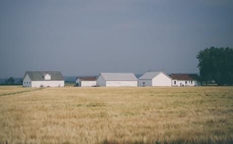 field with white houses