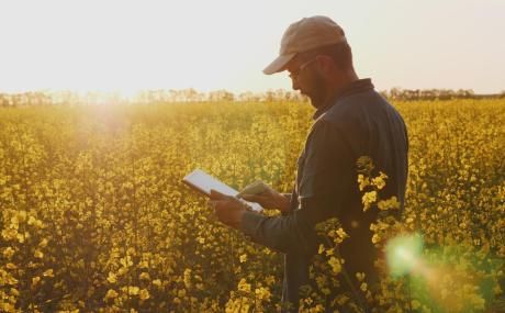 farmer in field