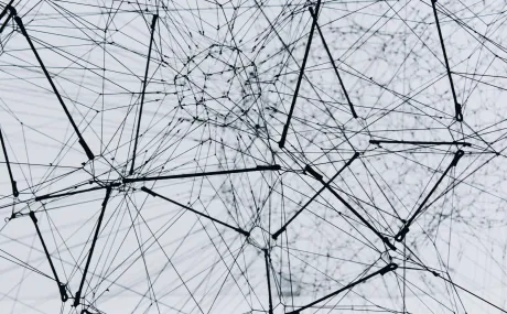 network of cables