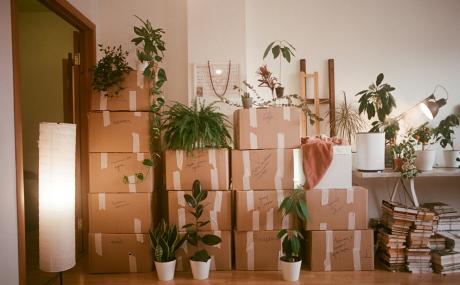 moving boxes