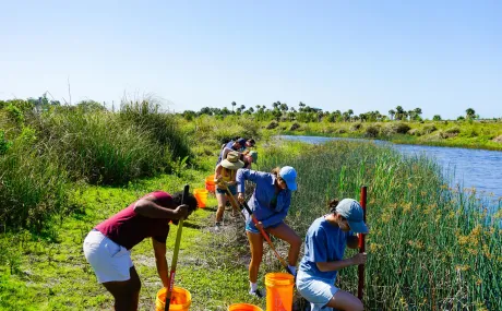 people volunteering in swamp